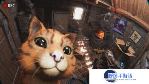 《方舟生存飞升》可爱新生物“猫”上线，性格各异，猫党狂喜